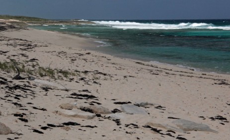 Dunmore beach, Dunmore, Long Island, Bahamas